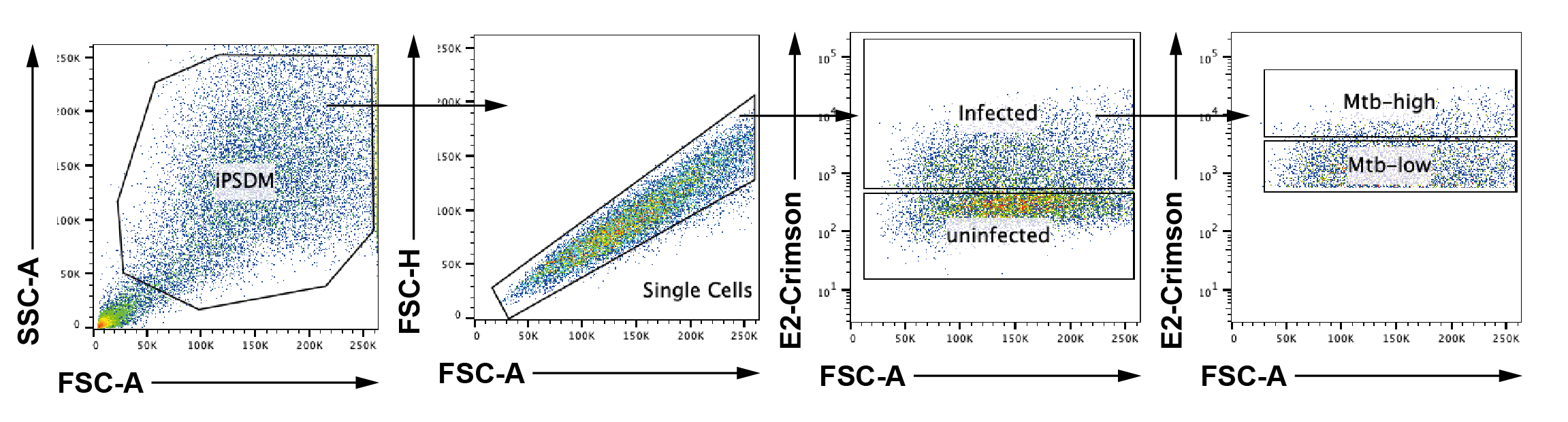 Supplementary Figure S6A flow cytometry gating